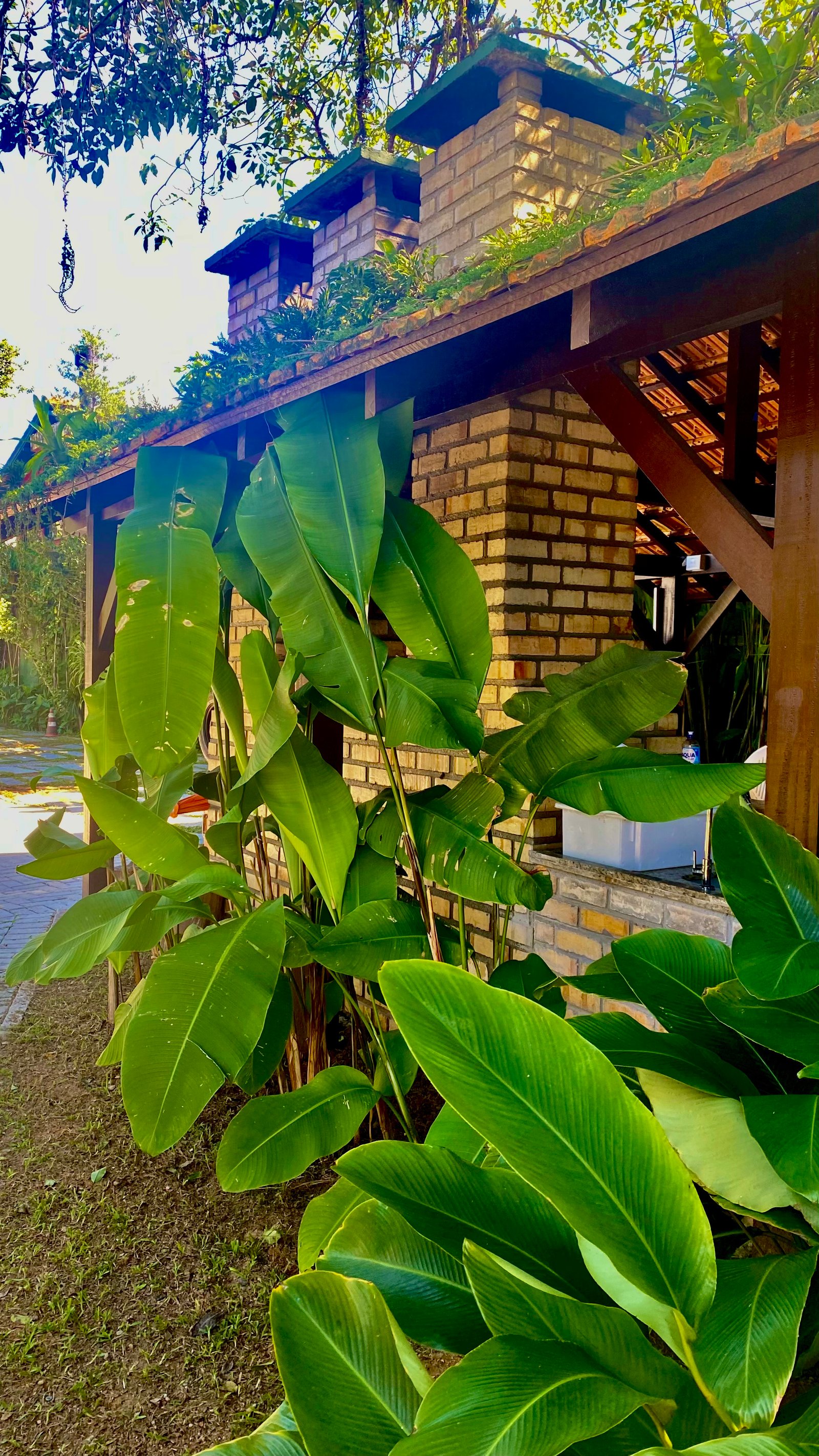 Hotel Natur Campeche - Foto 28